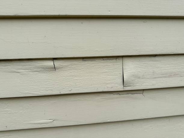 Siding for Commercial Buildings in Chatsworth, GA